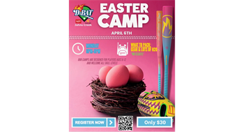 D-Bat Johns Creek Easter Camp
